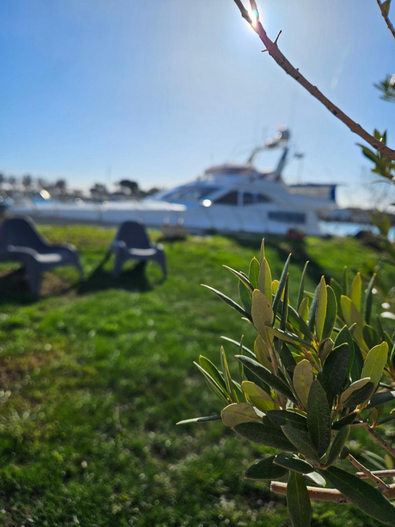 Nuit Insolite Bateau A Quai - Port Saint Louis Du Rhone Eksteriør billede